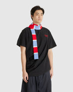 Skinny Scarf Red Multi