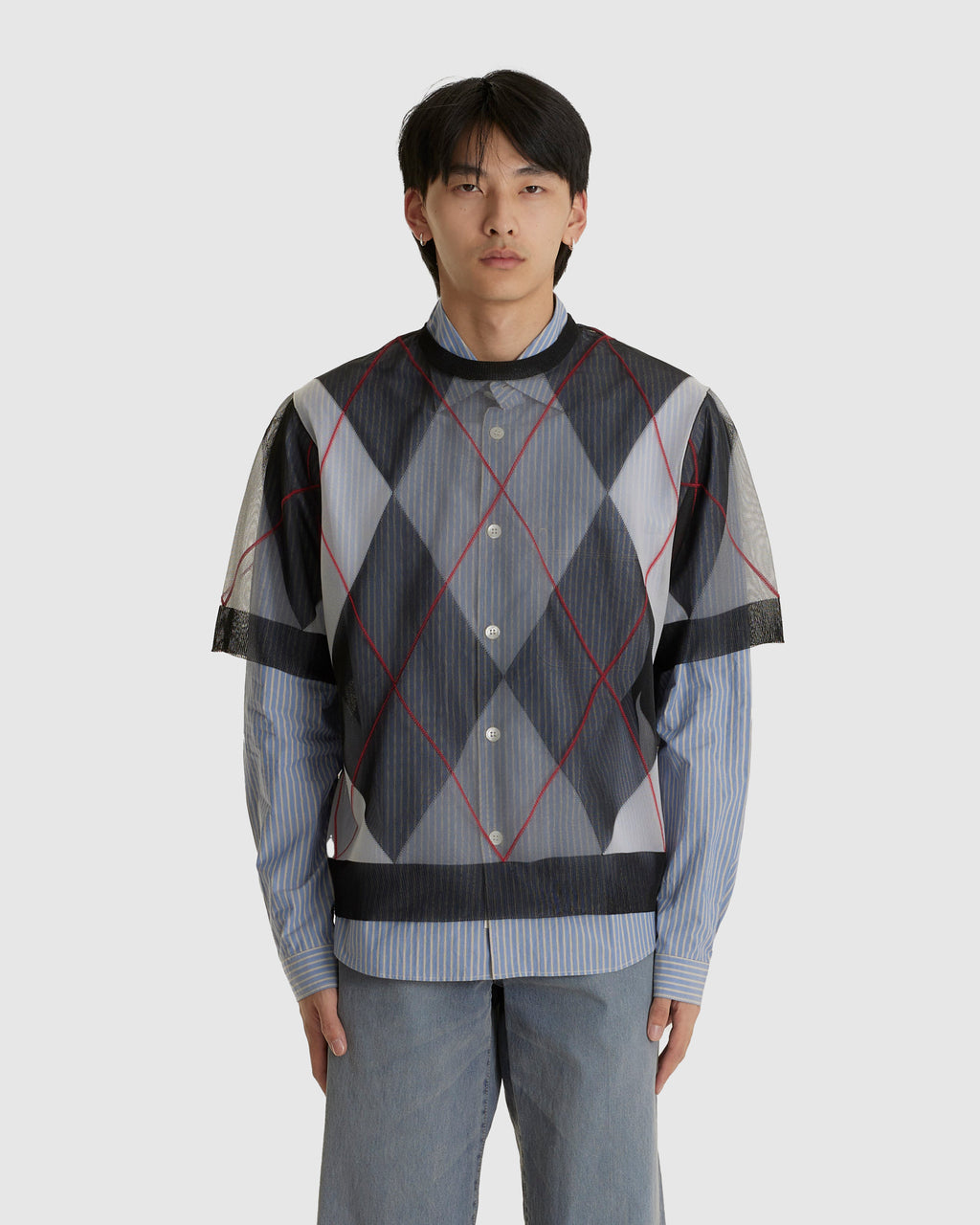 Sheer Argyle Top
